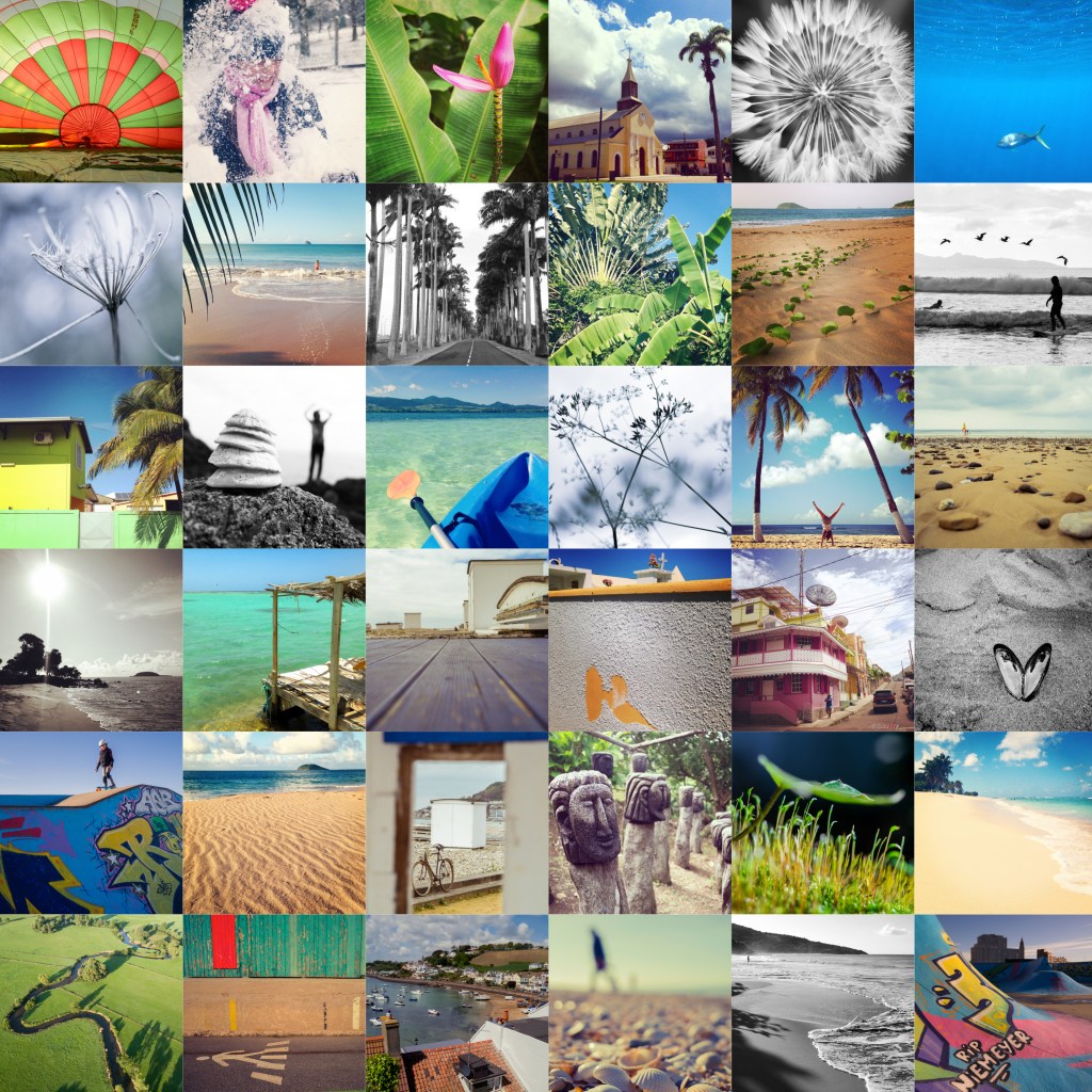 2014 en images photographie