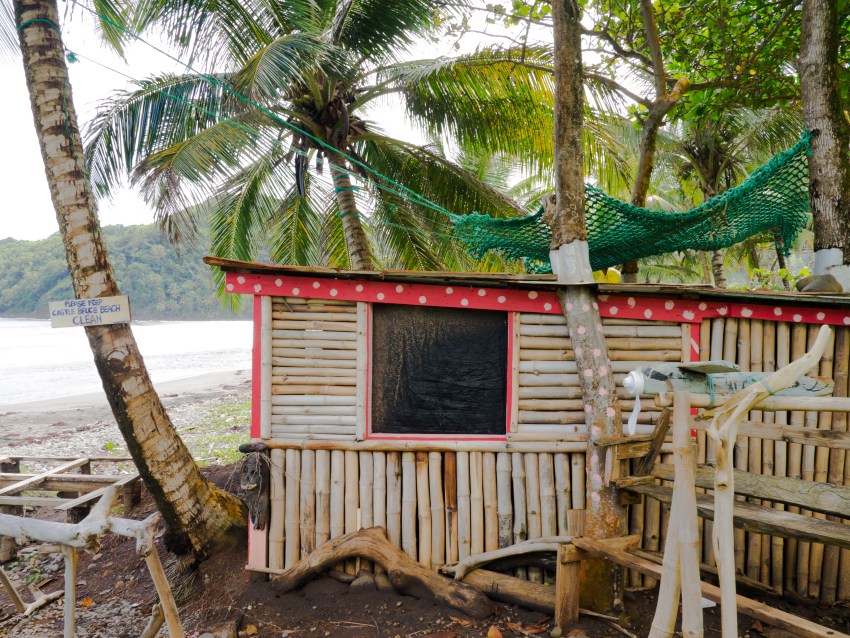 dominique, castle bruce