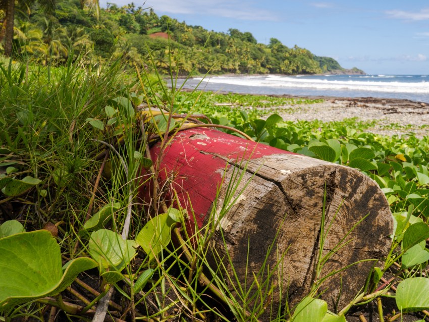 dominique, castle bruce