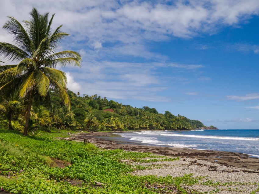 dominique, castle bruce
