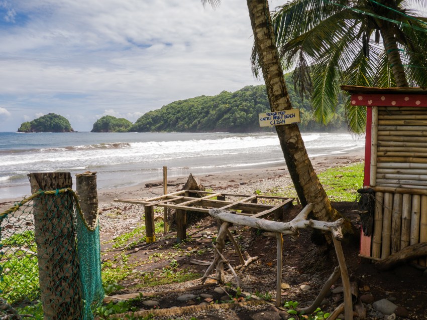 dominique, castle bruce