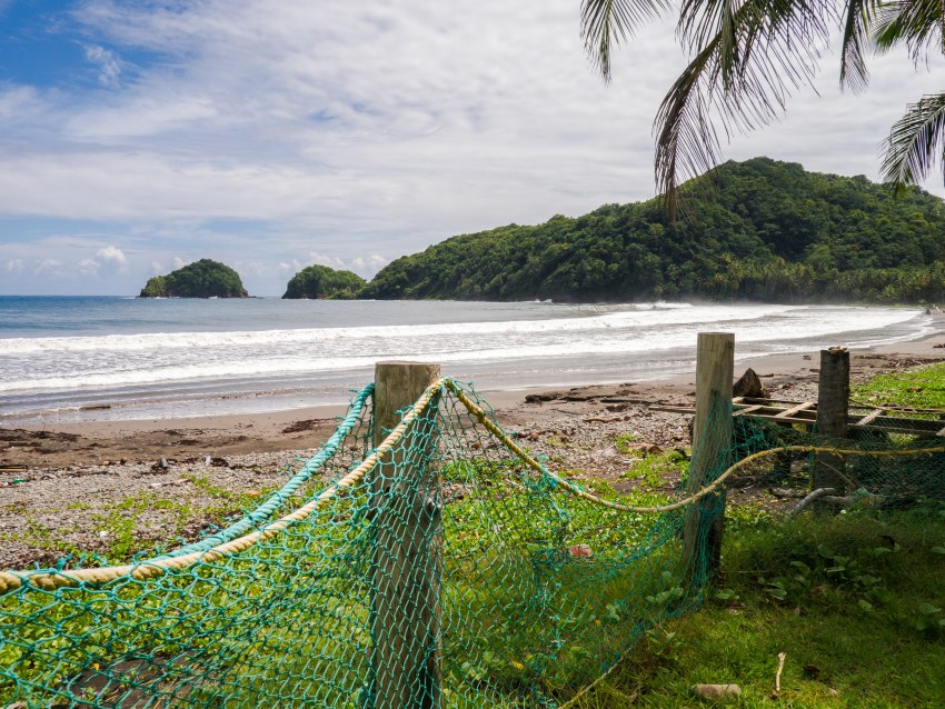 dominique, castle bruce