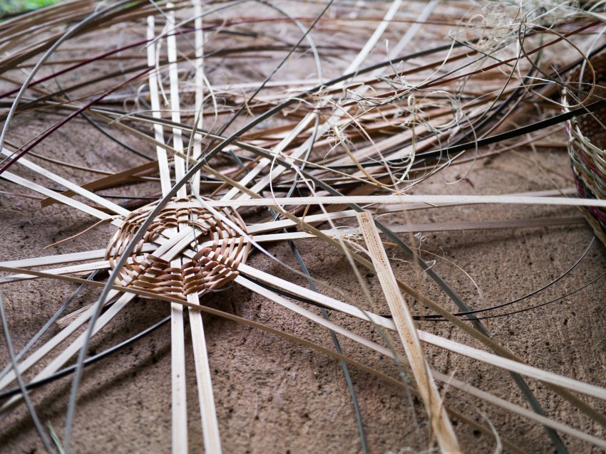 dominique, territoire caraïbe, salybia