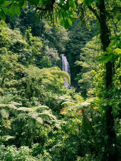 dominique, antilles, trafalgar falls