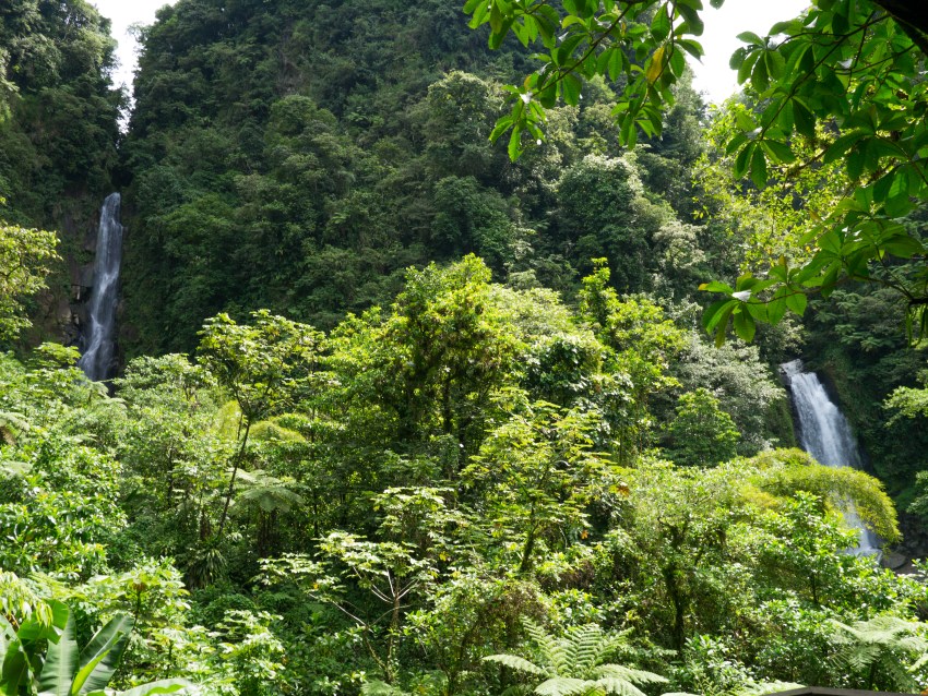 dominique, antilles, trafalgar falls
