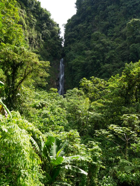 dominique, antilles, trafalgar falls