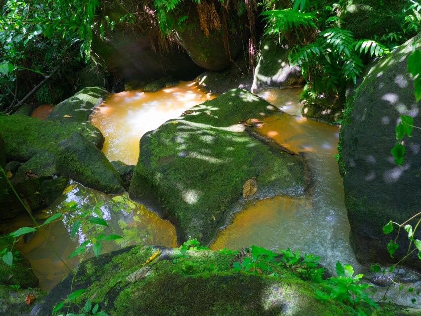 dominique, antilles, trafalgar falls