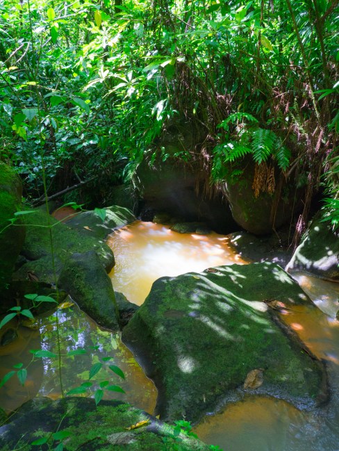 dominique, antilles, trafalgar falls