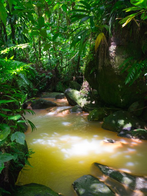 dominique, antilles, trafalgar falls
