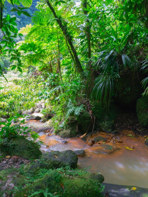 dominique, antilles, trafalgar falls