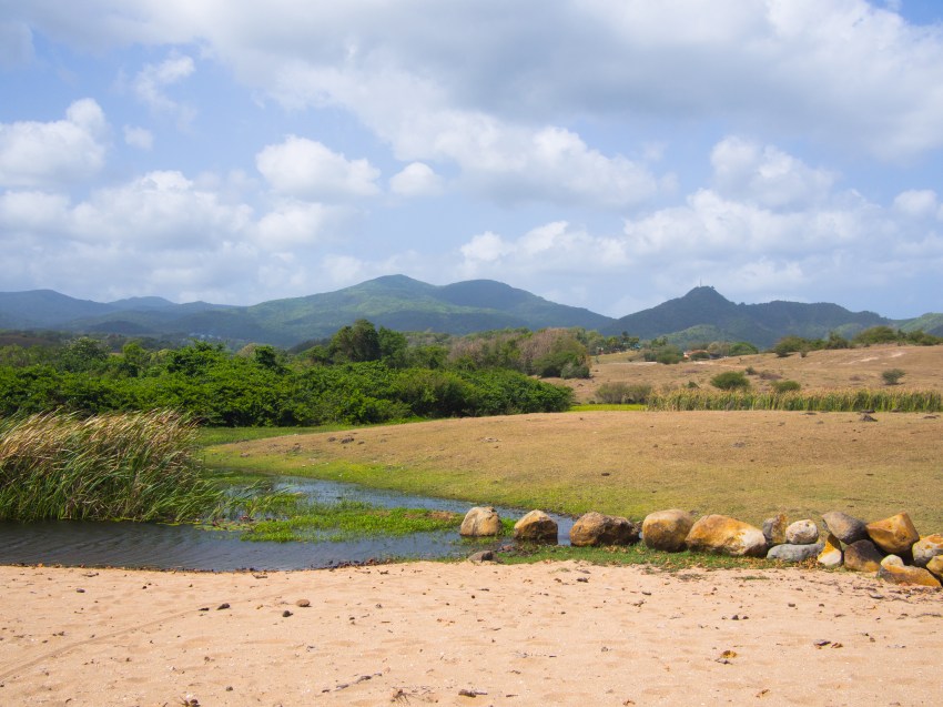 la savane, guadeloupe
