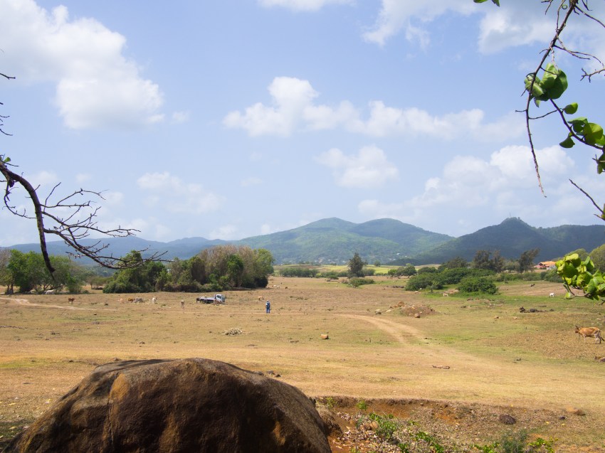 la savane, guadeloupe