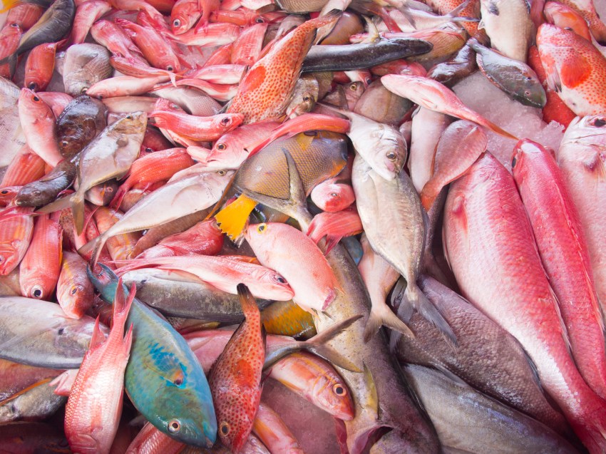 couleurs, ambiances, marché, pointe à pitre, guadeloupe