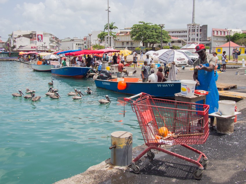 couleurs, ambiances, marché, pointe à pitre, guadeloupe