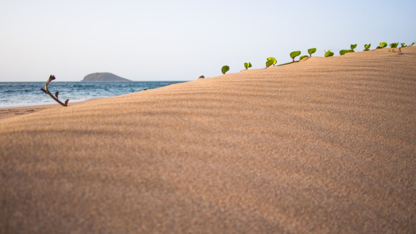 lignes de sable, guadeloupe, plage