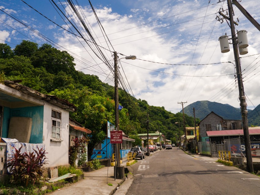 dominique, loubière