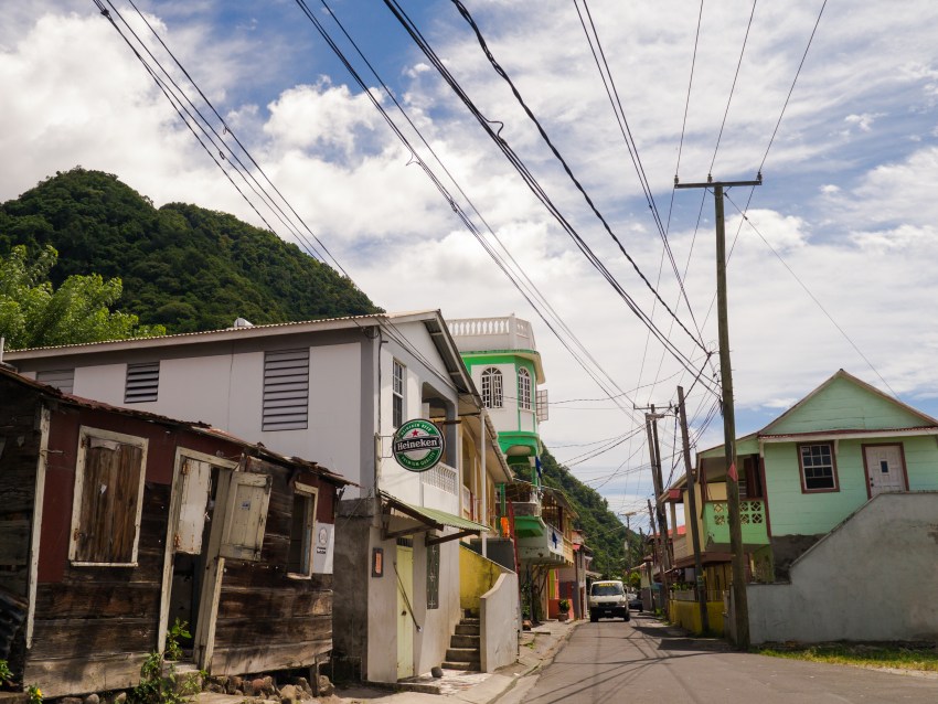 dominique, loubière