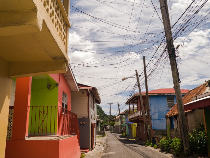 dominique, loubière