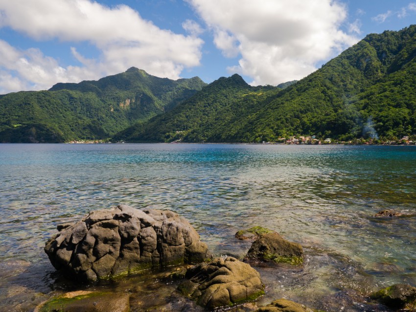 dominique, scott's head