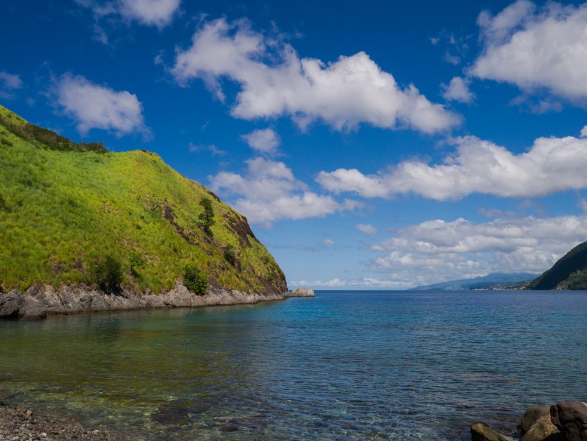 dominique, scott's head