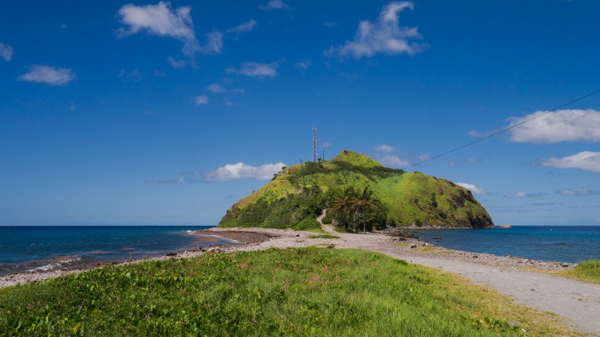 dominique, scott's head