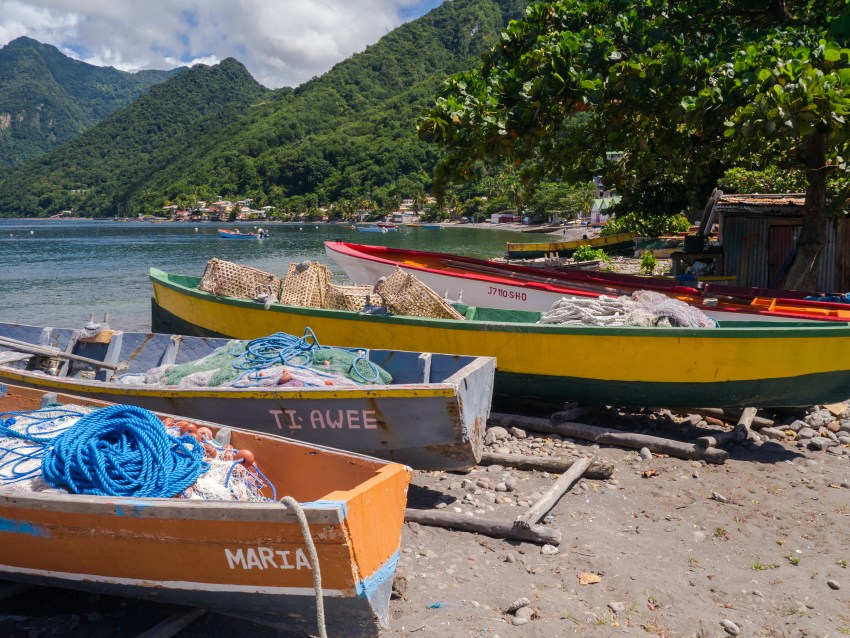 dominique, scott's head