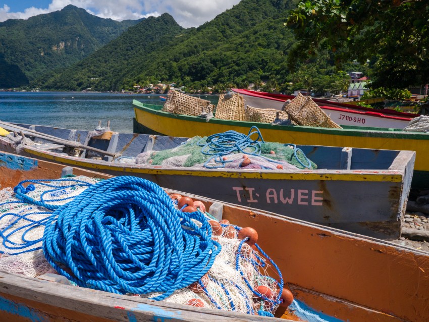 dominique, scott's head