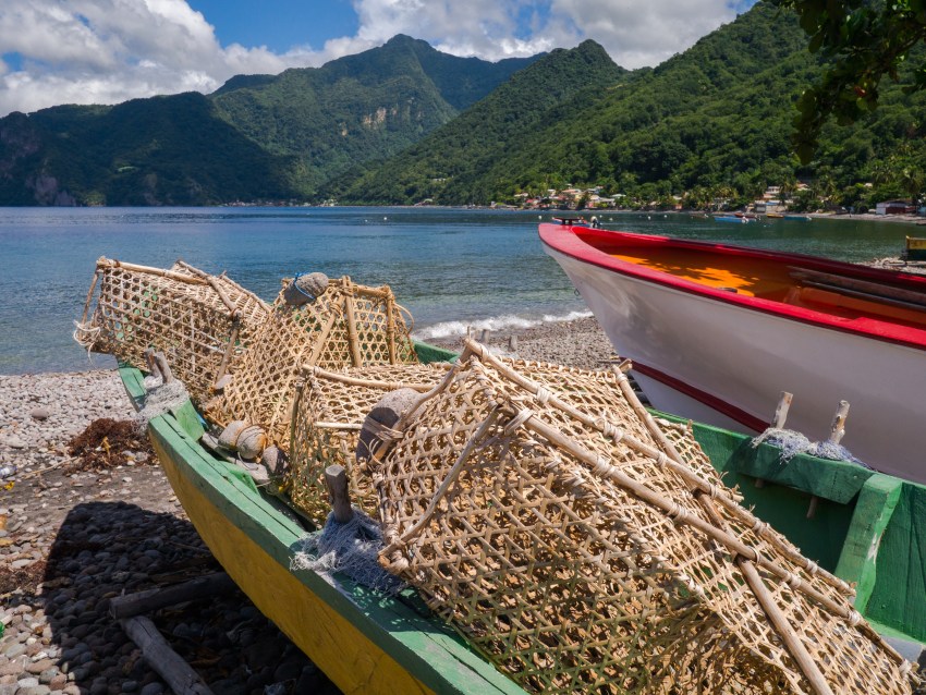 dominique, scott's head