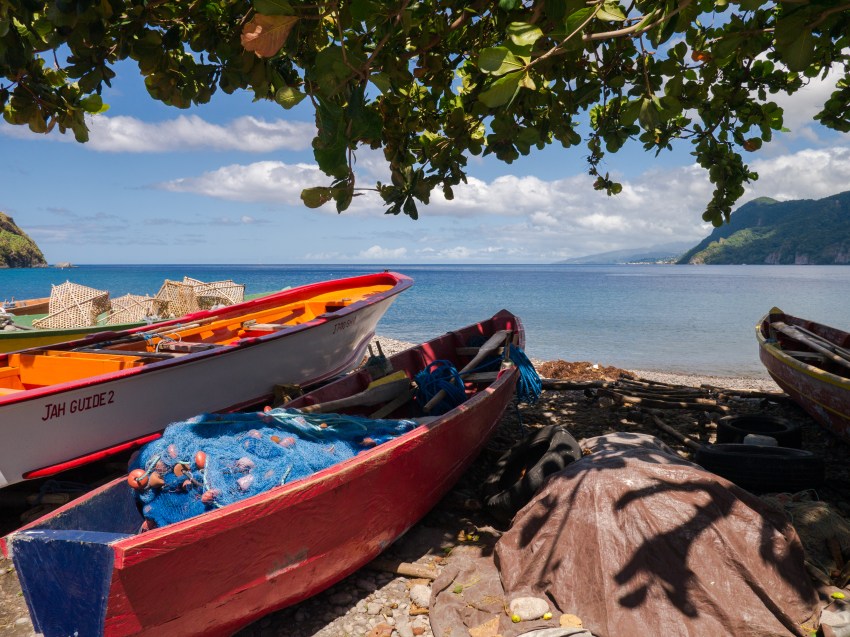 dominique, scott's head