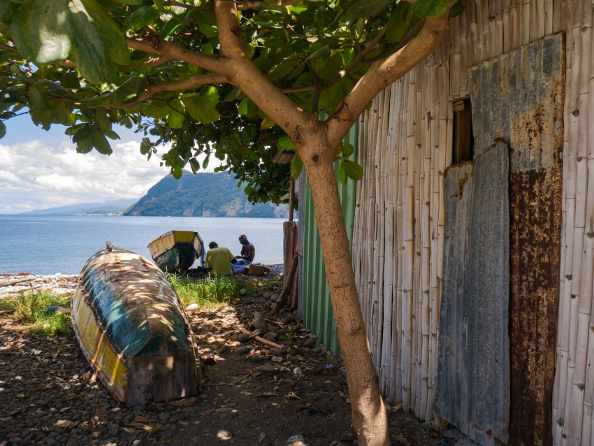 dominique, scott's head