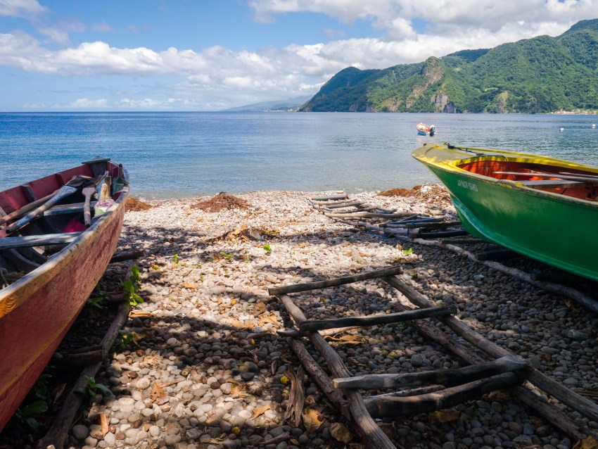 dominique, scott's head