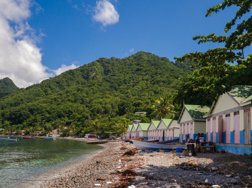 dominique, scott's head