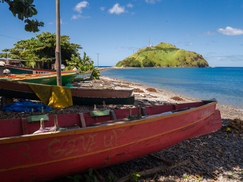 dominique, scott's head