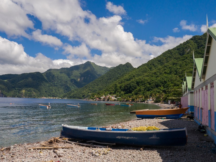 dominique, scott's head