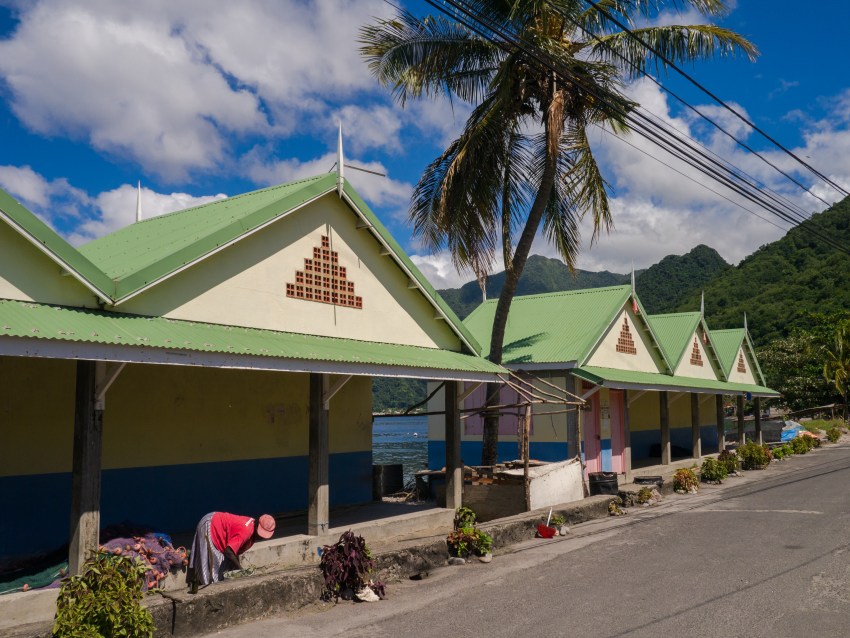 dominique, scott's head