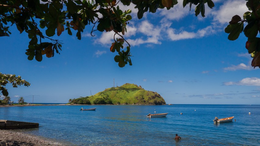 dominique, scott's head