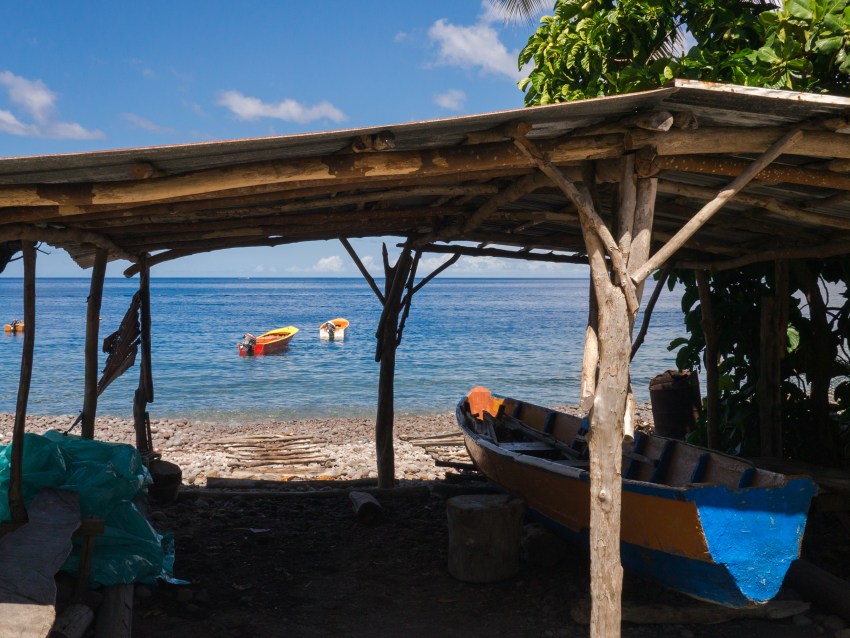 dominique, scott's head