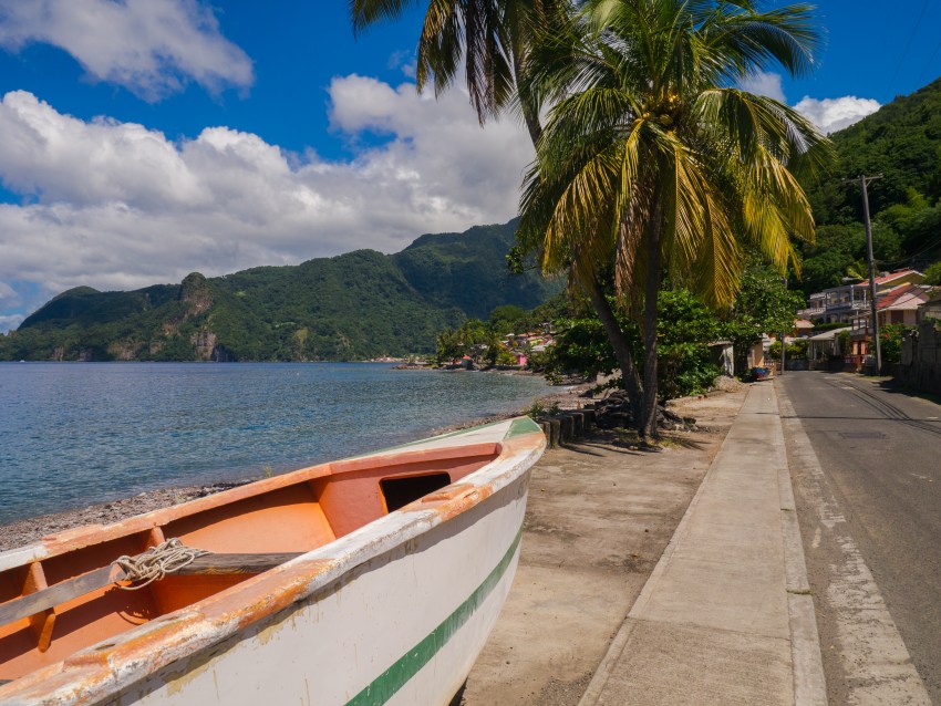 dominique, scott's head