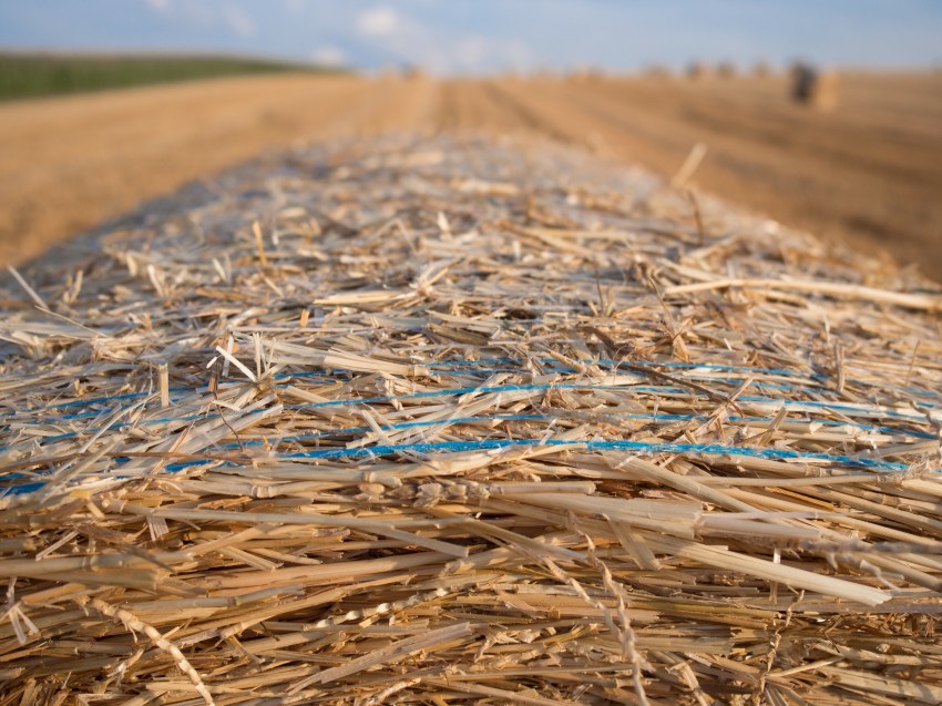 alsace, moisson, champs, photographie