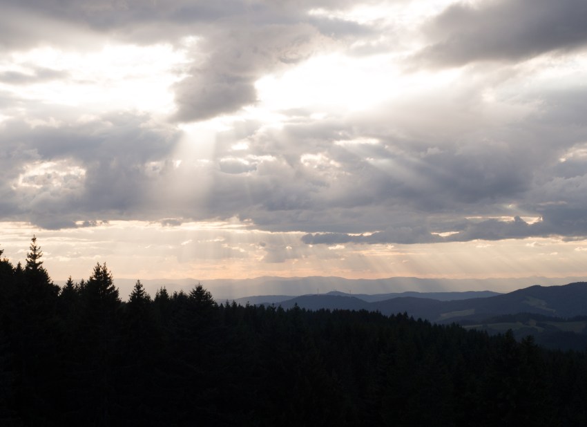 forêt noire, allemagne