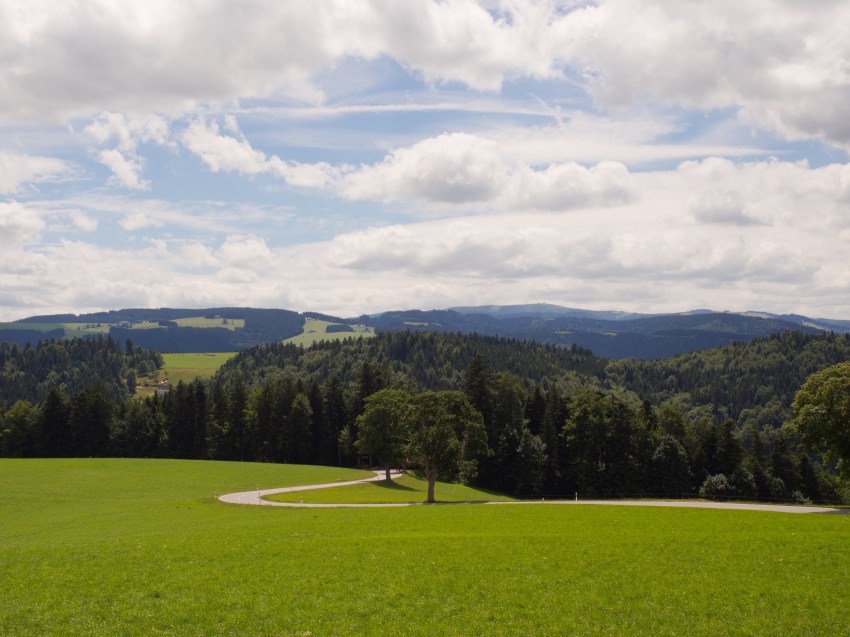 forêt noire, allemagne