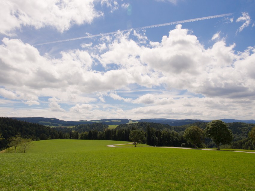 forêt noire, allemagne