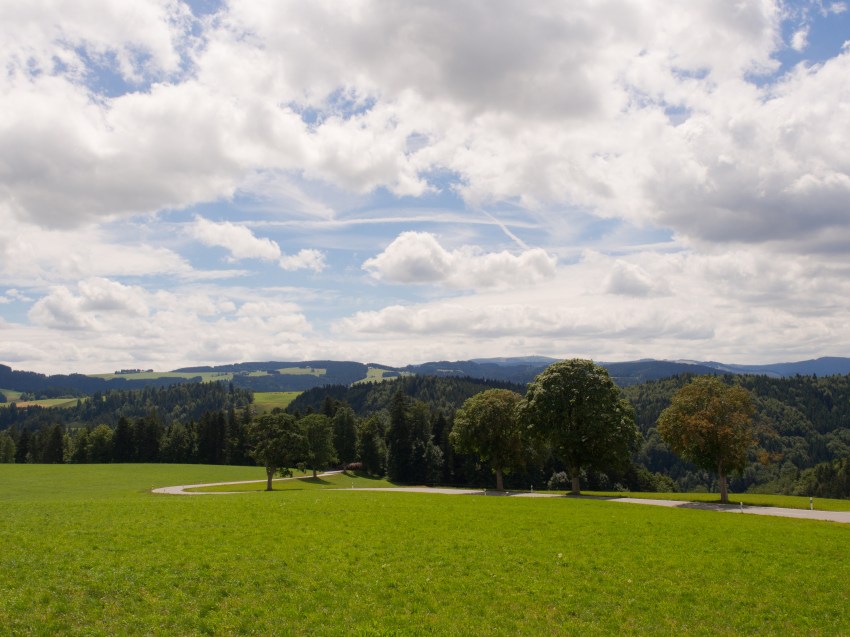 forêt noire, allemagne
