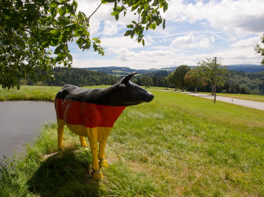 forêt noire, allemagne