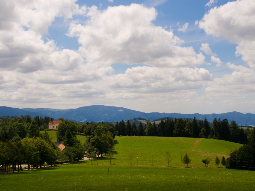 forêt noire, allemagne