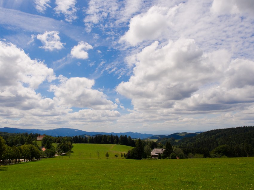 forêt noire, allemagne