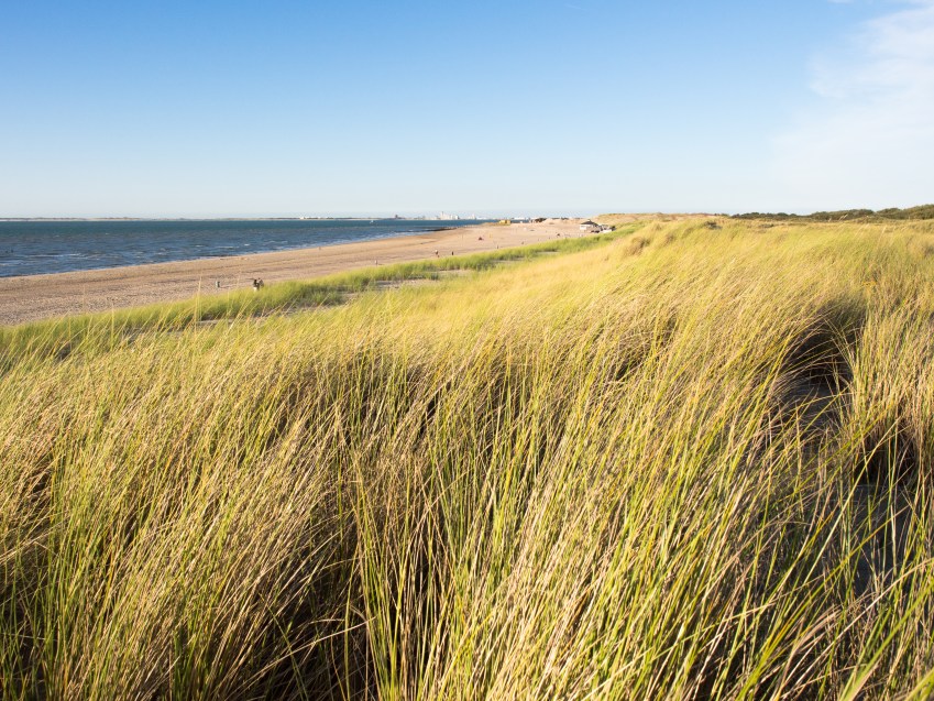 zélande, pays bas, hollande, photographie, paysage