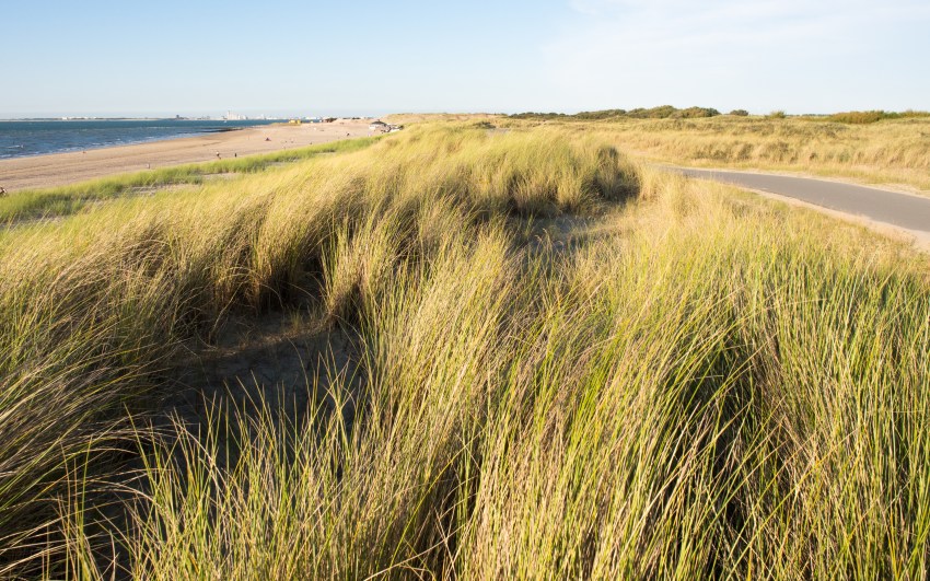 zélande, pays bas, hollande, photographie, paysage