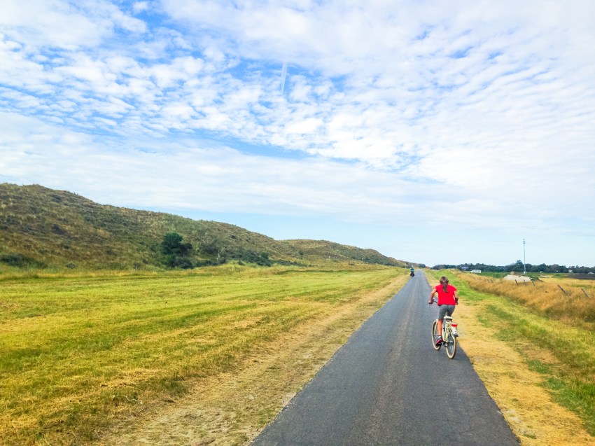 wadden, texel, pays bas