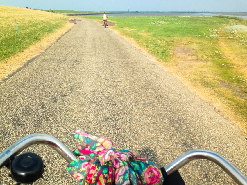 ameland, wadden, pays bas